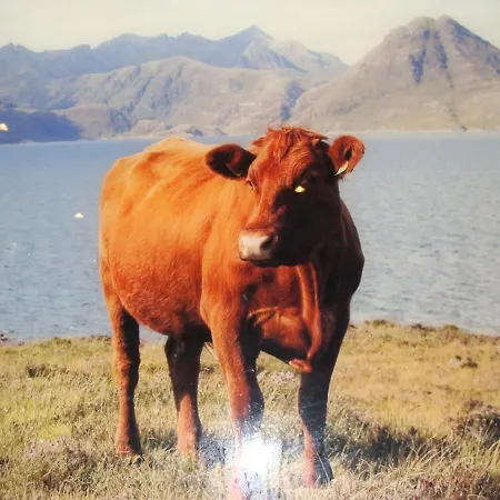 Apartment Hühnerstall Zulpich