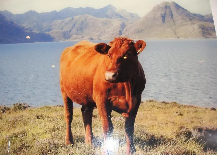 Apartment Huehnerstall Zulpich